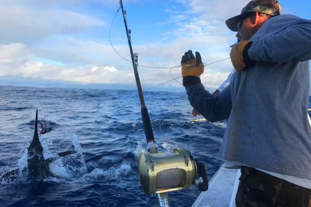 SPORTFISHING TOUR – 1/2 INSHORE