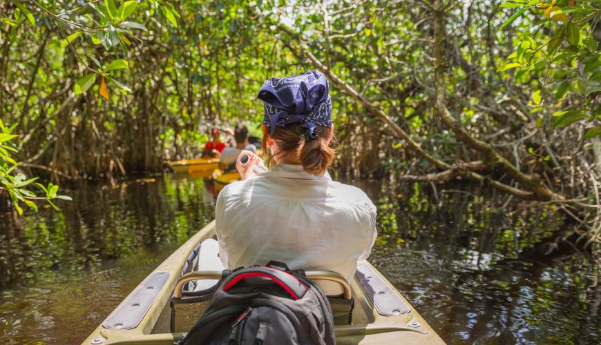 Mangrove Exploration: Unveiling Manuel Antonio’s Hidden Gem