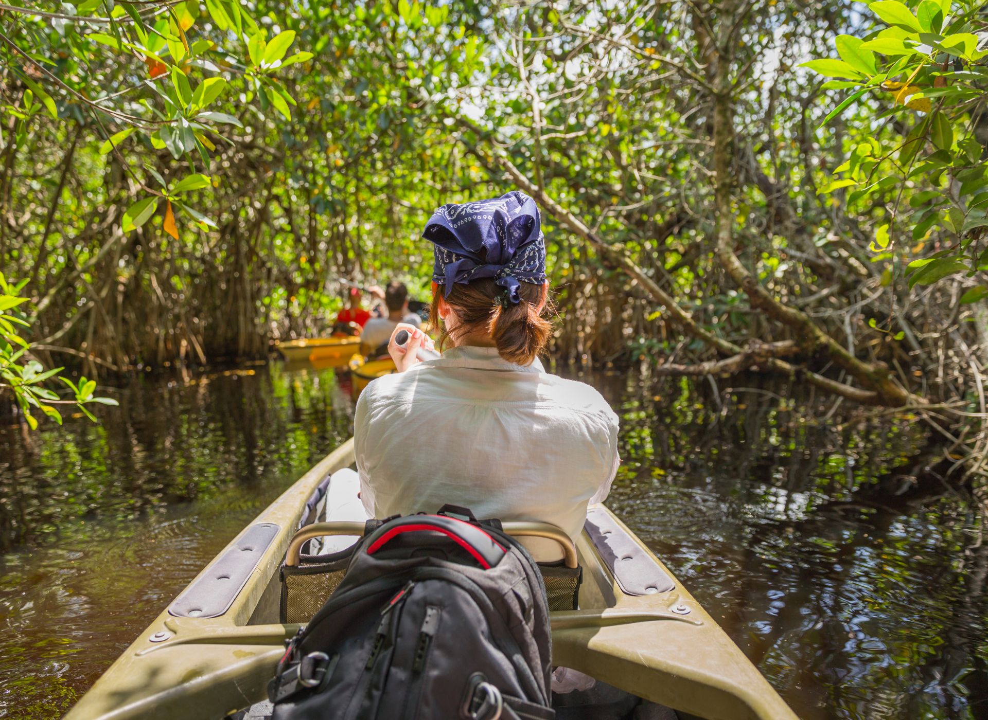 Mangrove Exploration: Unveiling Manuel Antonio’s Hidden Gem