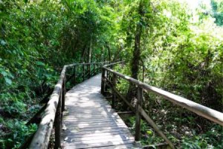 Manuel Antonio National Park