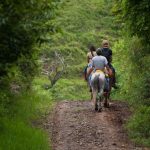 Horse Back Riding in Costa Rica: A Unique Adventure