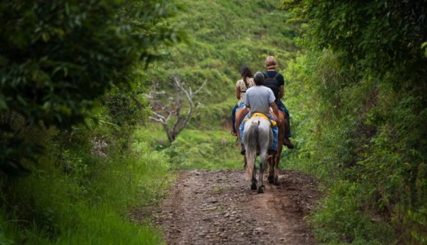 Horse Back Riding in Costa Rica: A Unique Adventure